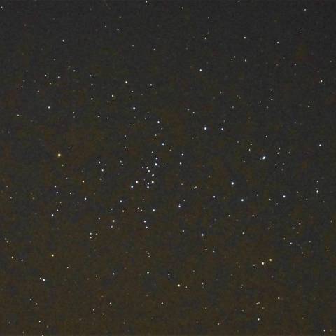 ゴールドカラーの多い星団