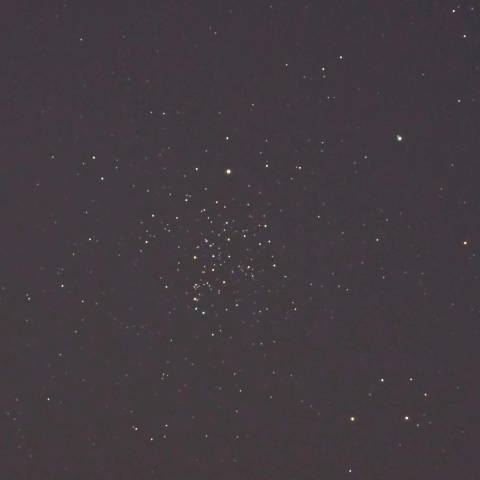 満開の星　⋆✧⋆⋆