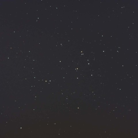 春のミツバチの巣⋆✧⋆⋆