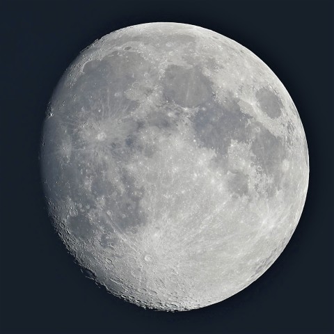 丸みを増したお月さま