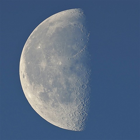 朝日に照らされる白い月