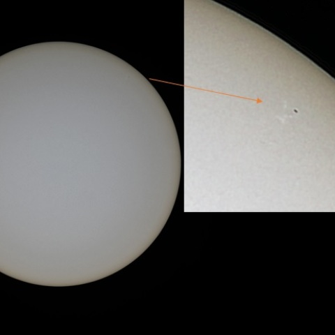 白斑に囲まれた微細な黒点