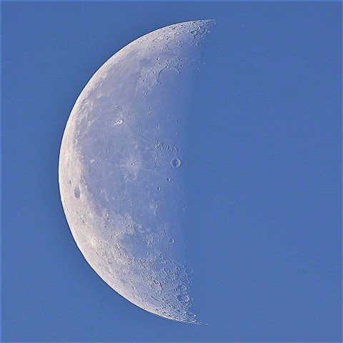 朝空に浮かぶ…白い月