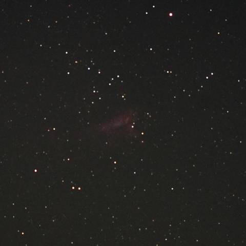 白鳥の姿浮かぶ