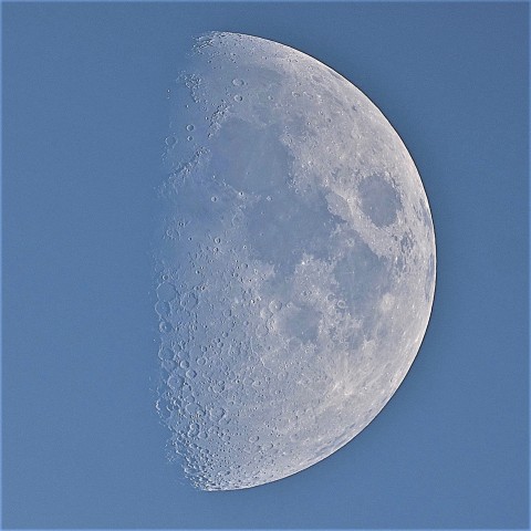 半月の白い月