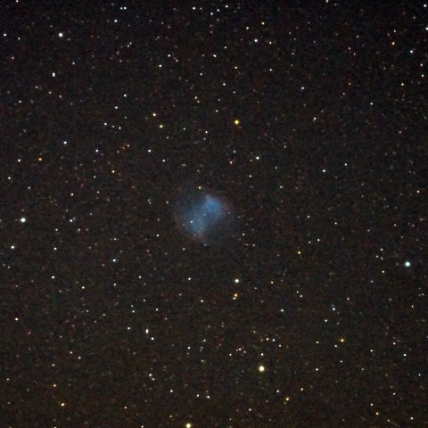 アレイの　くびれ現れて…