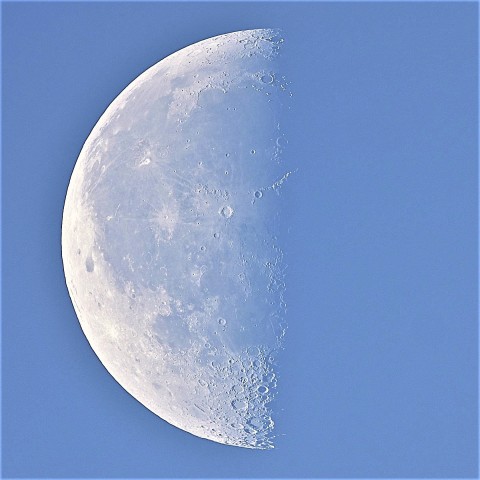 寝覚月の白い月…✧