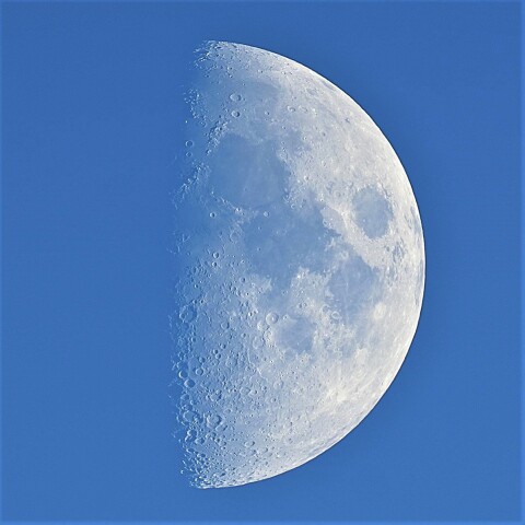 半月の白い月…✧