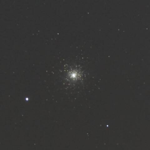 ✧雅な集合⋆⋆⋆✨