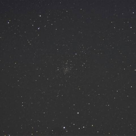 ✧小さなや座に多くの星✧