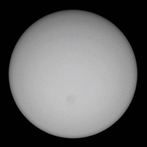 ほぼ一ヶ月ぶりの黒助さん・