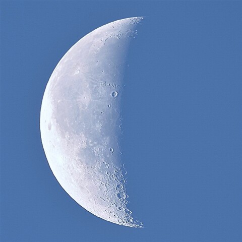 日の出前の白い月