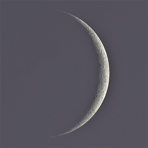 🌂明けの白い月…