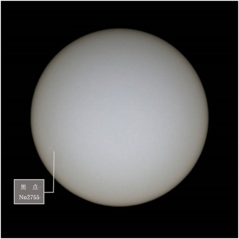 連日消えず黒助さん