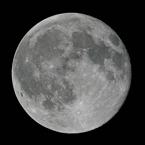 不和夜月(いざよいつき)