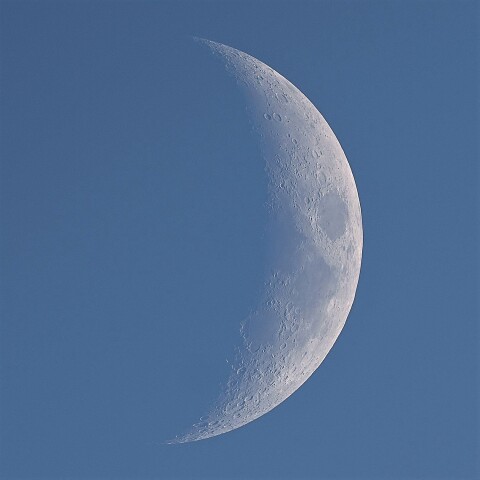 ふっくらと愛嬌のある白い月…
