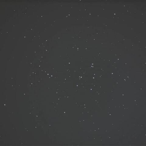 プレセペ星団✨