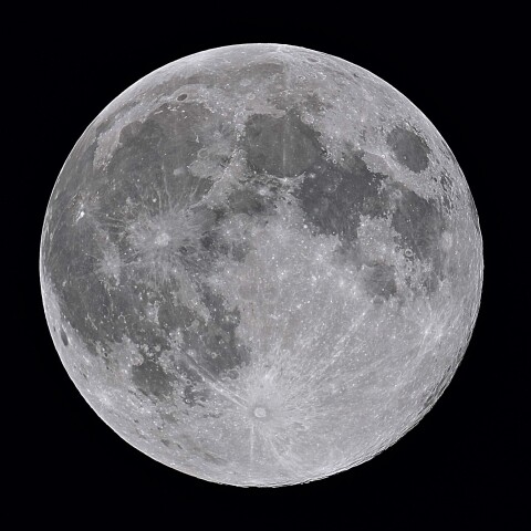 フラワームーン　✨