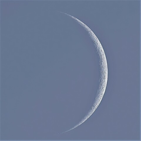 霜月の白い眉月