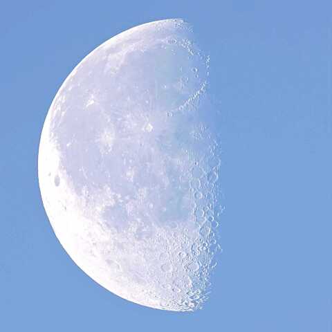 師走朝の白い月