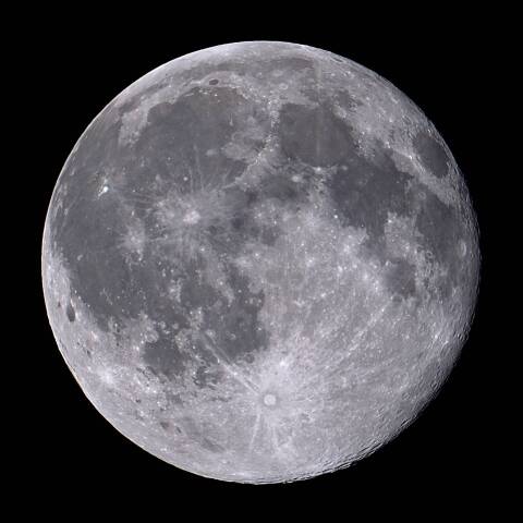 十六夜　(満月)