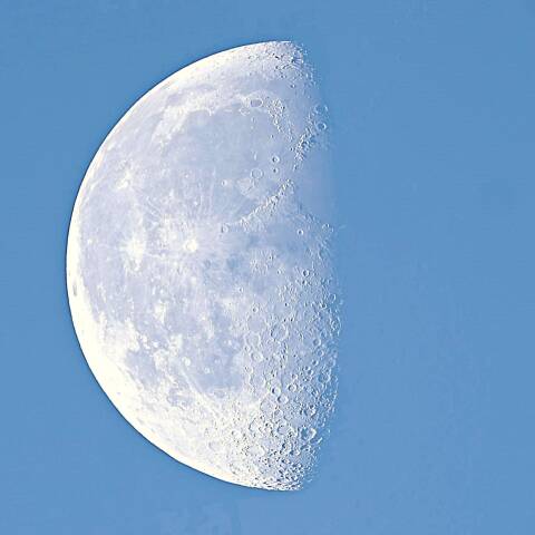 皐月の朝の白い月