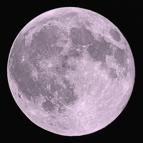 低空のピンクムーン