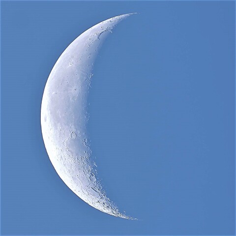明け方の白い月
