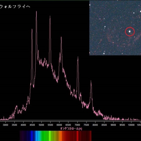ウォルフライヘWR136スペクトル