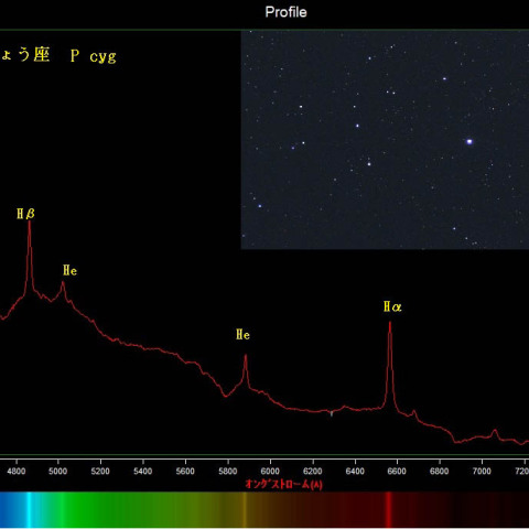 はくちょう座　爆発星P cygのスペクトル