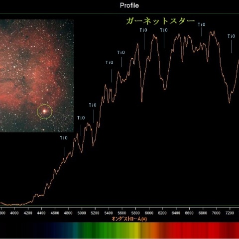 ケフェウス座のガーネットスタースペクトル