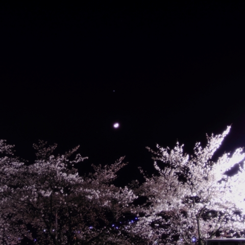 花見茶屋に沈む、三日月と木星