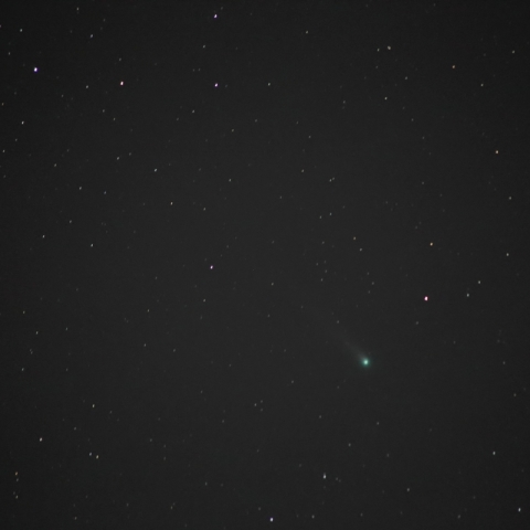 ラブジョイ彗星