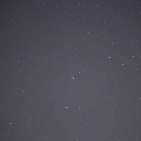 ラブジョイ彗星