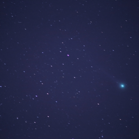 ラヴジョイ彗星