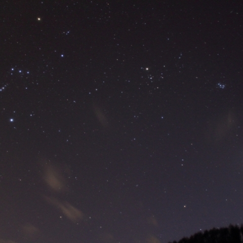 春分の日に沈む冬の星座と木・金