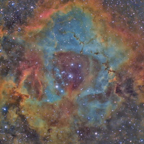 冷却CMOSカメラ5台によるバラ星雲