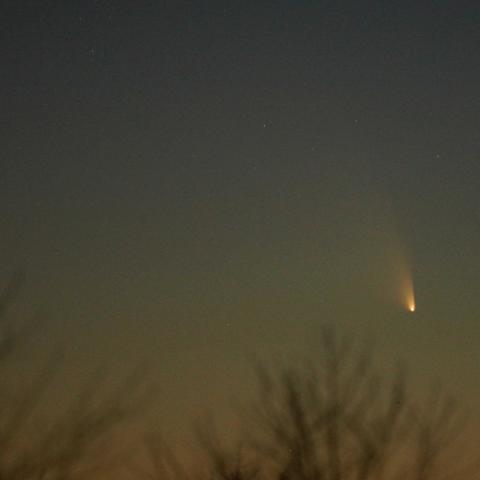 パンスターズ彗星