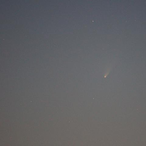 26日夕方のパンスターズ彗星