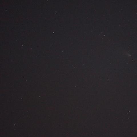 4月9日朝のパンスターズ彗星（固定撮影）