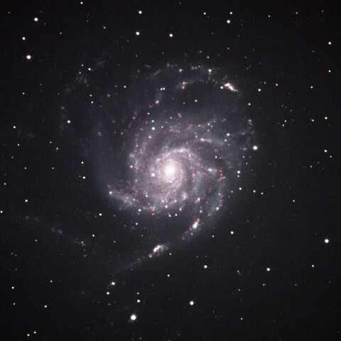 M101