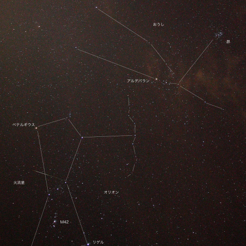 流星がオリオンに発見