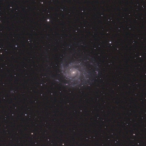 M101