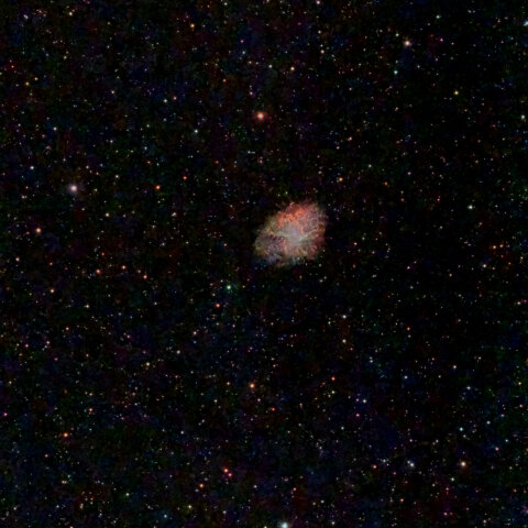 M1