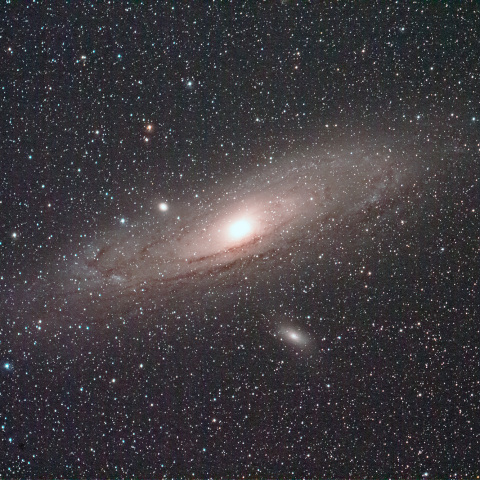 M31