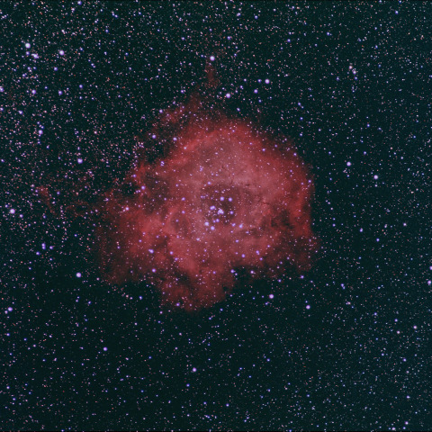 バラ星雲（NGC2237)