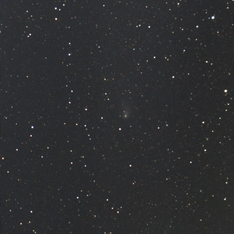 紫金山・アトラス彗星（C/2023 A3)