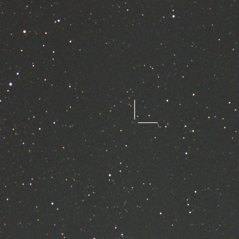 TCP J19065629+4019093