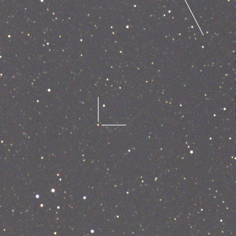 TCP J16304038-3132197