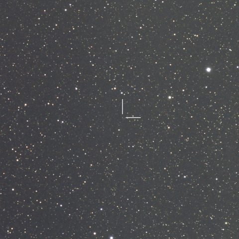 TCP J19522056+0929231